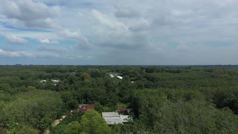 toma de grúa aérea de cu chi, vietnam con granjas, bosques en un día soleado con cielo azul