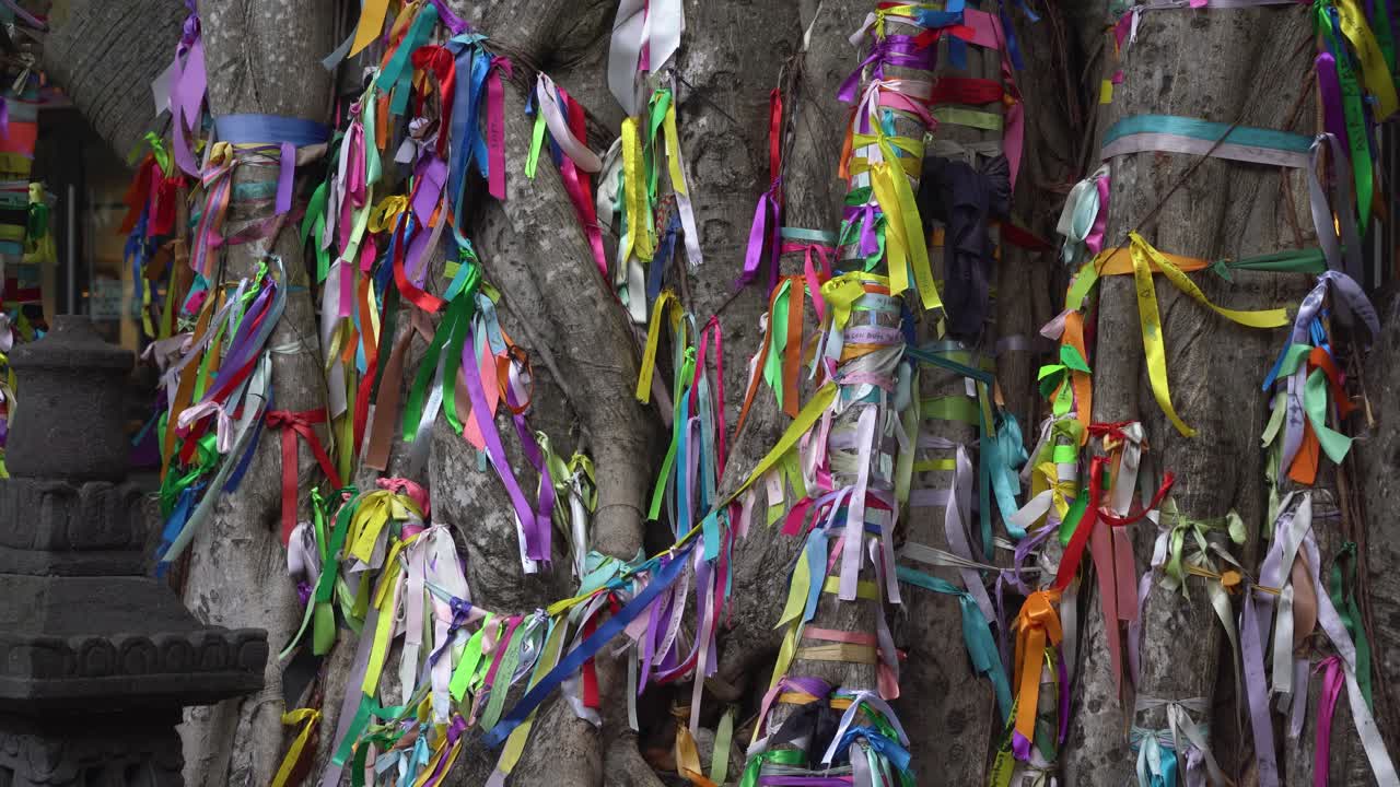 una rama de árbol, adornada con varias cintas de colores, se balancea suavemente en la luz del día