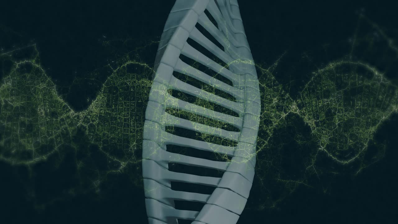 Elica 3D iniziale che appare ruotando in senso orario mentre un'onda di rete pulsa mostrando un reticolo digitale.