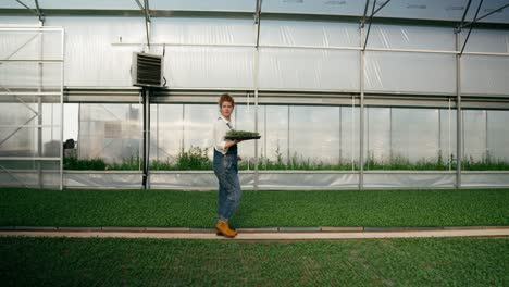 Confident-woman-with-red-hair-Farmer-carries-seedlings-in-her-hands-and-inspects-the-sprouts-in-a-greenhouse-on-the-farm