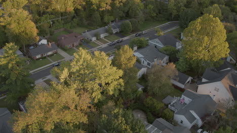 houses-and-trees-in-St