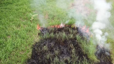 bush fire at rural area of malaysia.