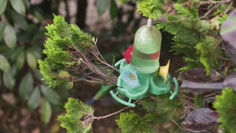 hummingbird flying and drinking water at feeder video