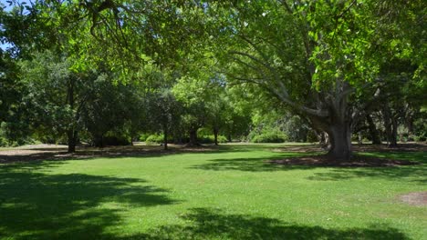 Hampton Park in early summer. South Carolina