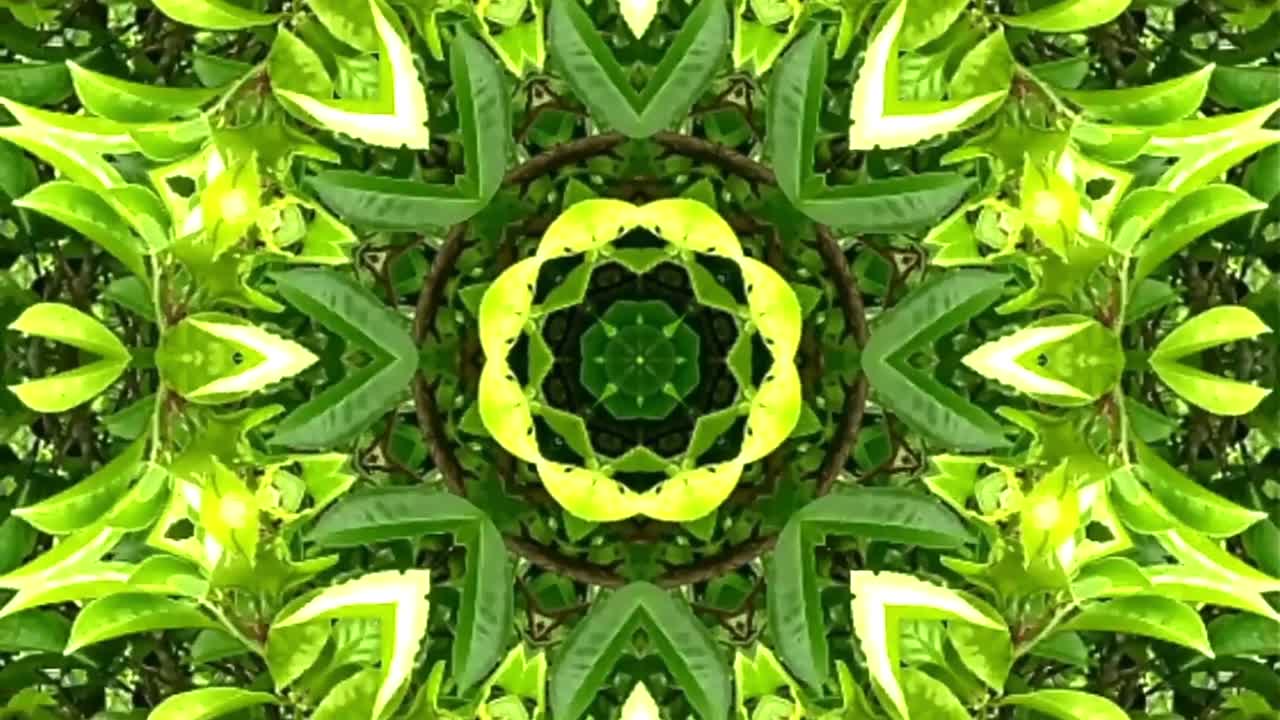 video abstracto que brilla, luz brillante que arregla movimientos sutiles de colores con una forma de flor, fondo negro