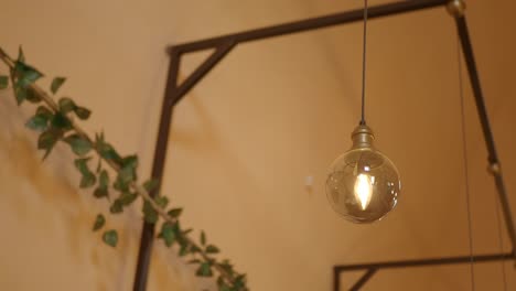 warm ambiance hanging light