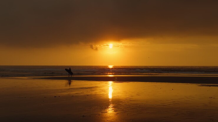 surfista en la playa del atardecer