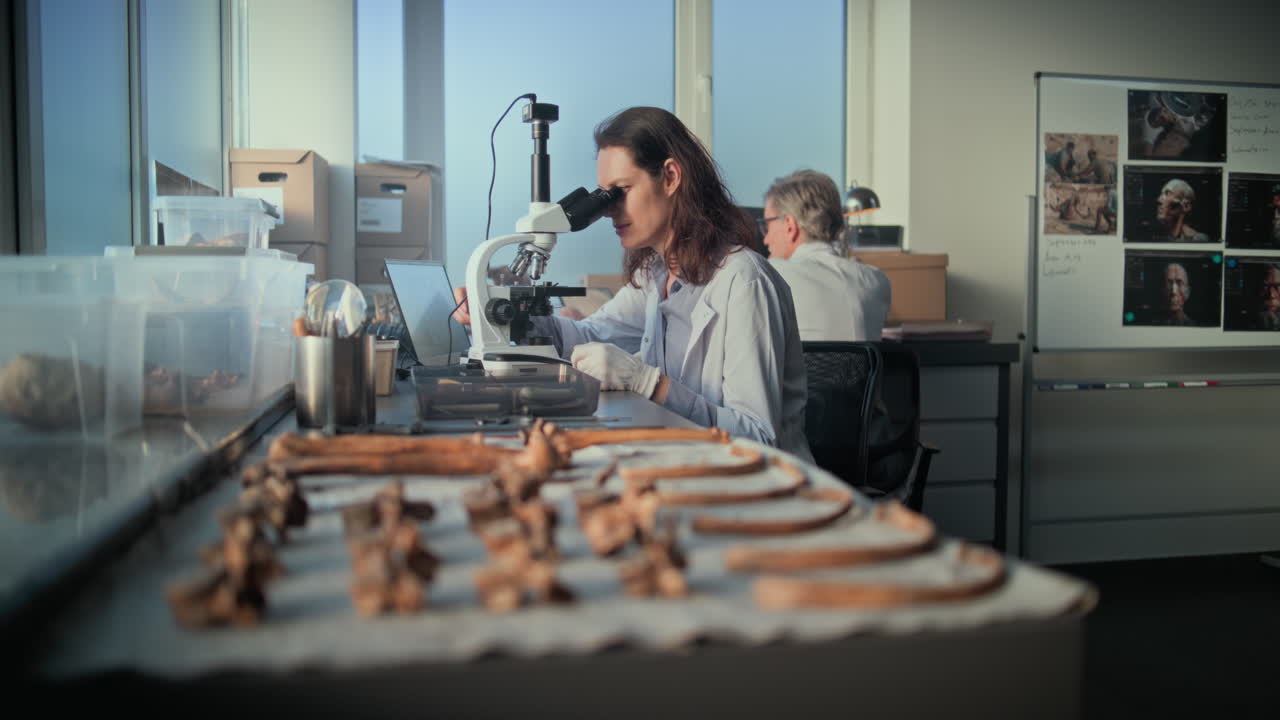 arqueólogo examinando huesos antiguos en un laboratorio