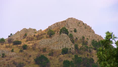 Weitwinkelaufnahme-Von-Felsigen-Bergen-Mit-Einem-Baum-Im-Vordergrund