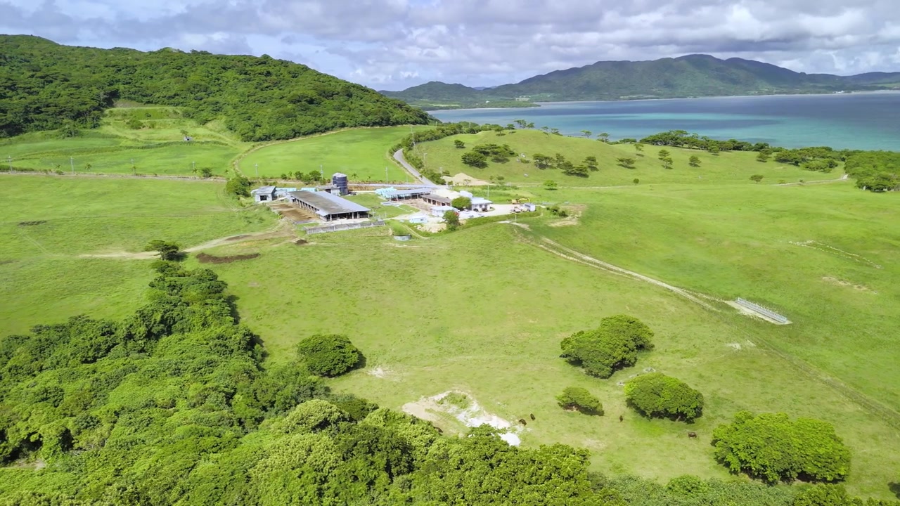 Inquadratura dall'alto che mostra una struttura agricola immersa tra verdi colline che si affaccia sulla baia blu di Ishigaki