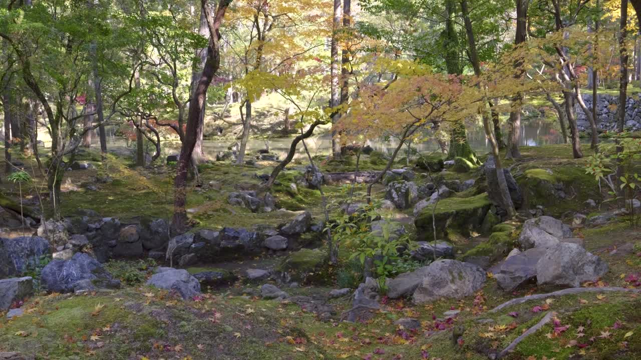 Saihoji temple in Kyoto, Japan with small pond during fall colors