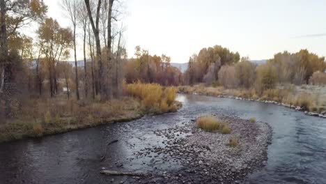 rocky-creek-with-yellow-trees-and-driftwood-during-sunrise-in-Heber-Utah---AERIAL-DOLLY-TILT