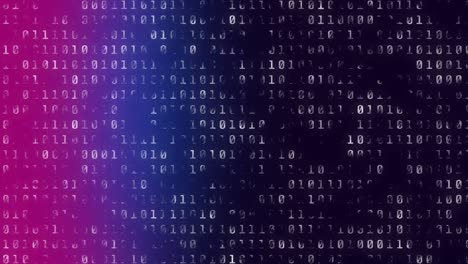 Animation-of-binary-code-processing-on-pink,-blue-and-violet-background