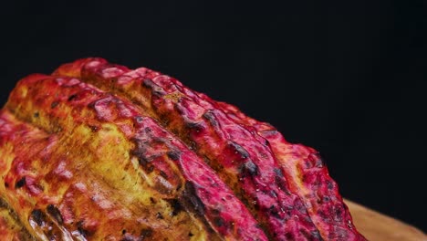 rotación media de un fruto de cacao - theobroma cacao