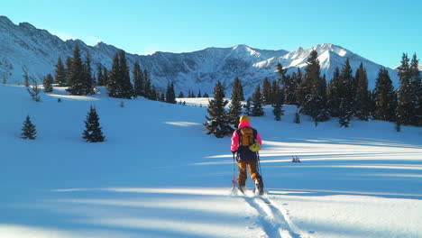 Filmisch-Atemberaubend-Colorado-Am-Frühen-Morgen-Rocky-Mountain-Backcountry-Skifahrer-Split-Boarder-Bergauf-Wandern-Neuschnee-Gipfel-Gipfel-Leichte-Baumgrenze-Ebene-Kupfer-Breckenridge-Aspen-Vail-Follow-Pan