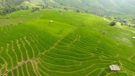 Rice-field-terrace-on-mountain-agriculture-land.