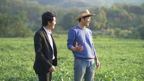farmer and businessman talking on melon field