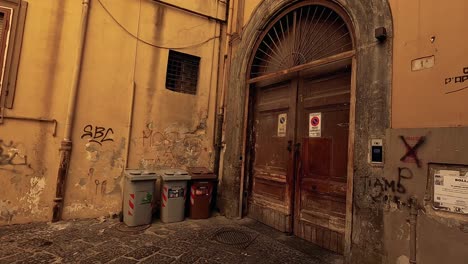 quiet alley with graffiti and trash bins