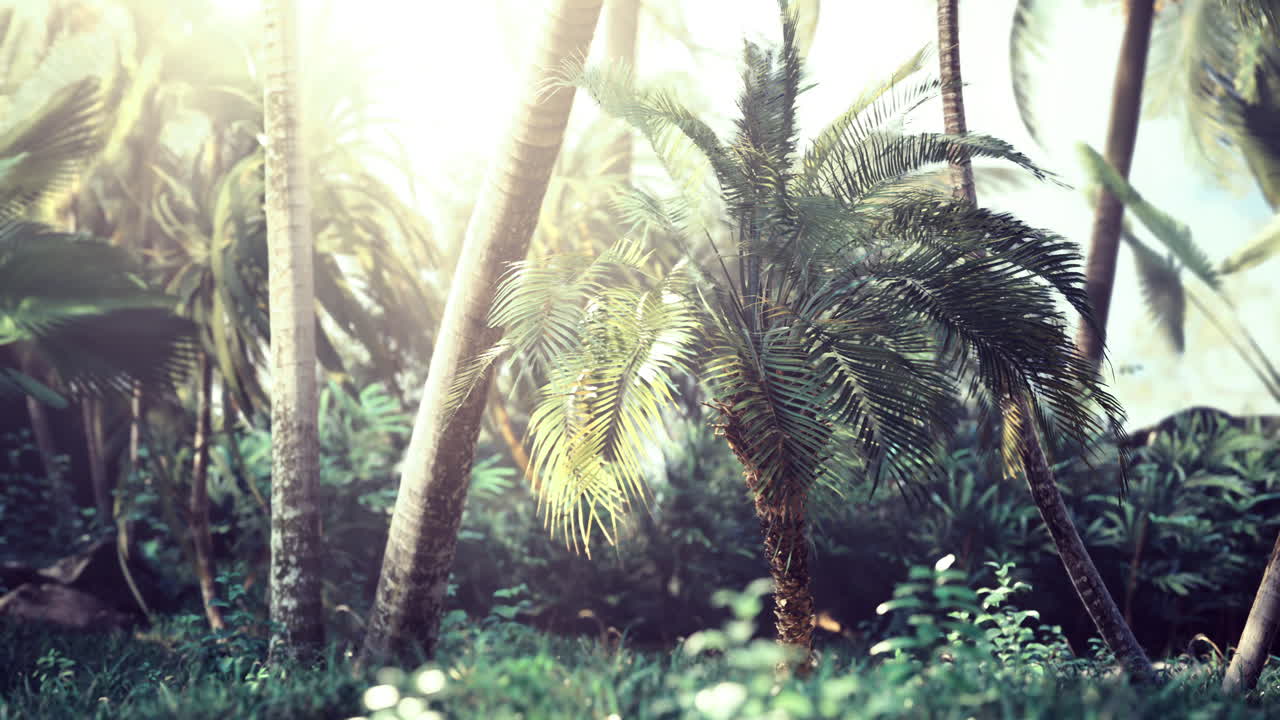 Vibrant tropical landscape with lush greenery under soft sunlight