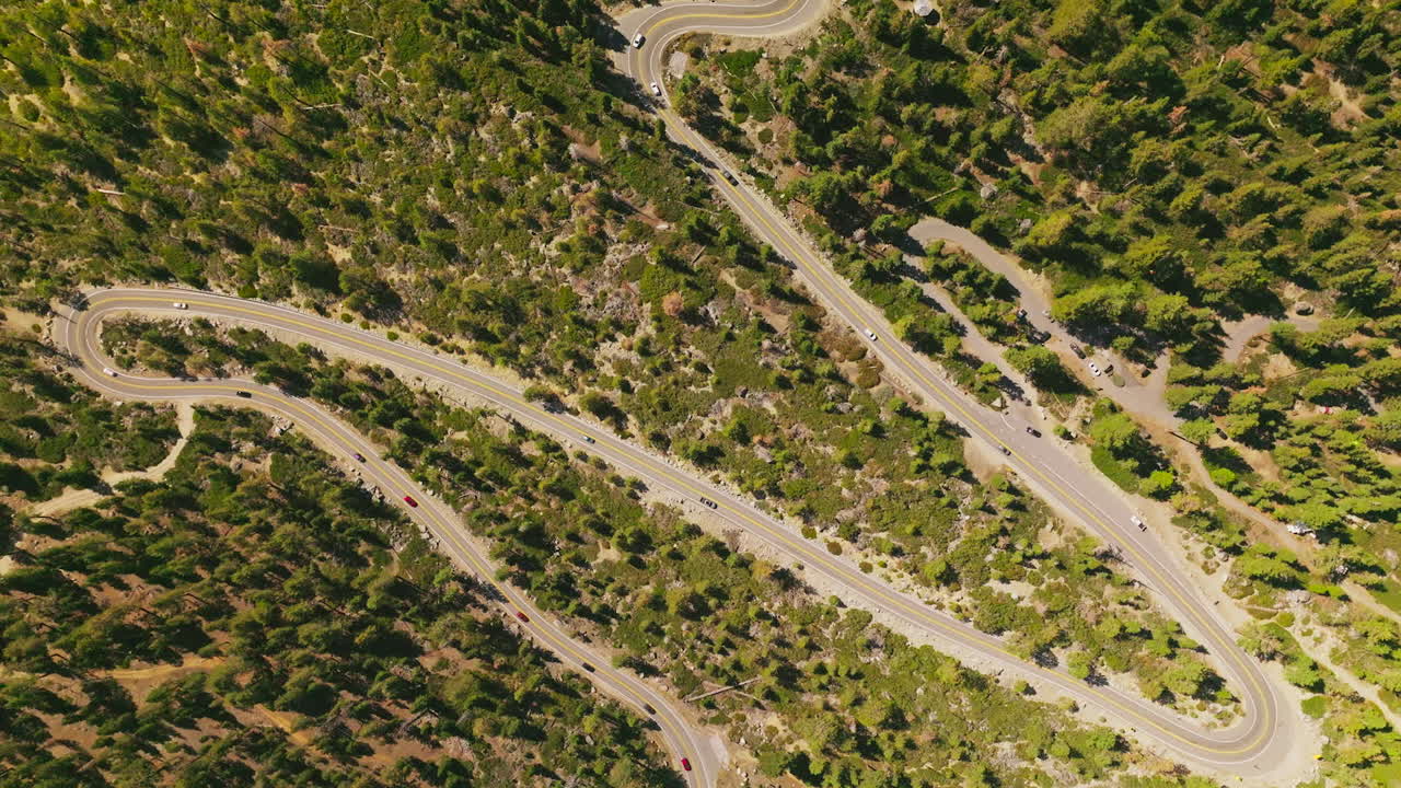 Serpentine Mountain Road Through Forest
