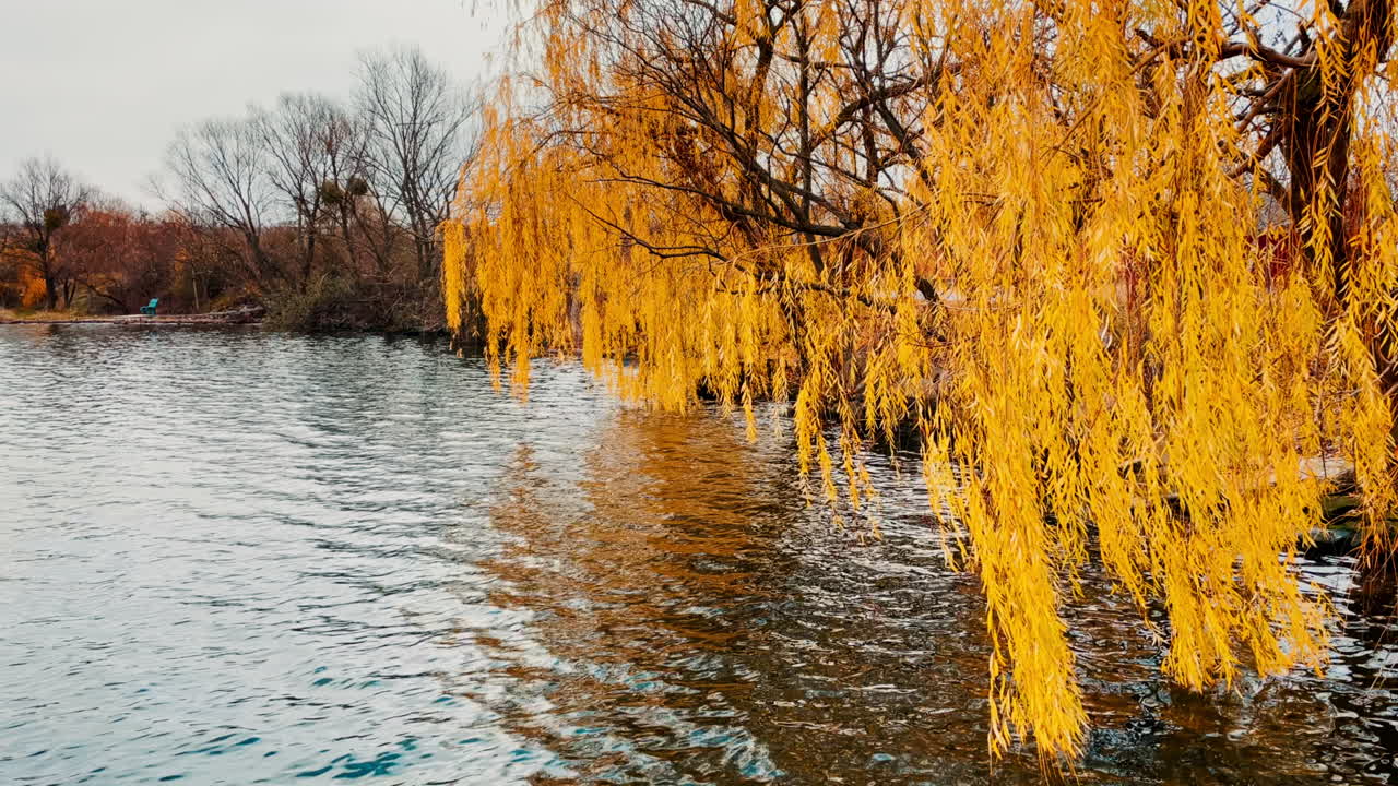 Autumn Colors at the Lake