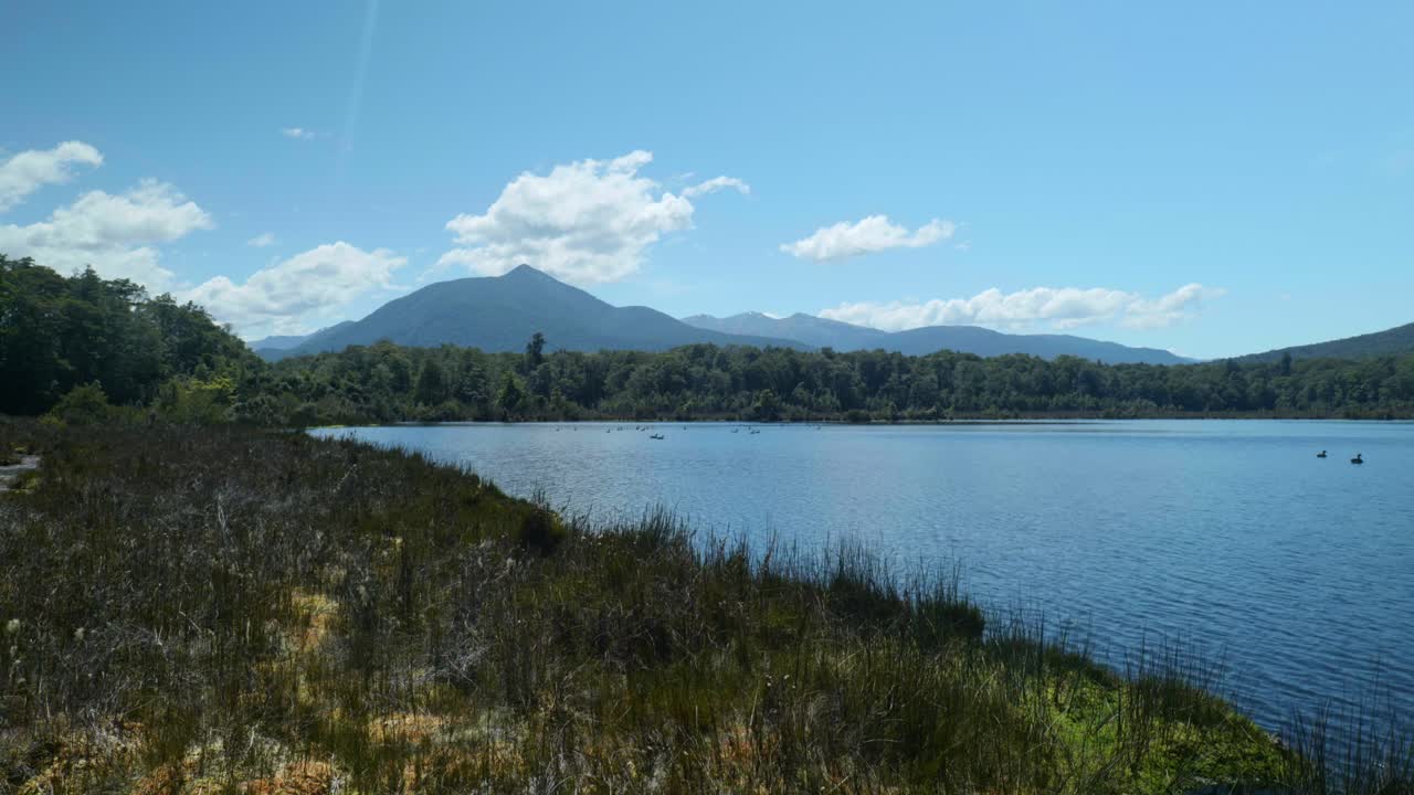 gansos graciosos en un lago sereno, enmarcado por majestuosas montañas