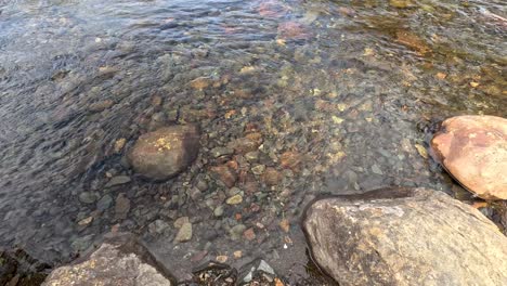 Overhead view of clear stream water flowing over colorful stones in natural daylight, Scotland