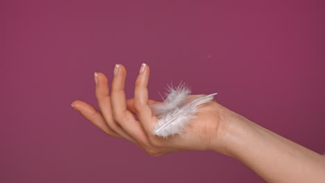 a hand interacting with delicate white feathers against a magenta background
