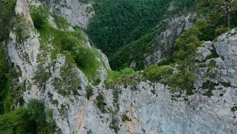 Aerial-overview-above-wide-green-forested-valley-of-Vietnam-by-white-cliff