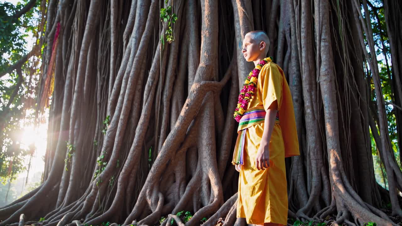 Young monk stands in serene contemplation beside a majestic tree, surrounded by lush greenery and soft sunlight, embodying tranquility and spiritual connection