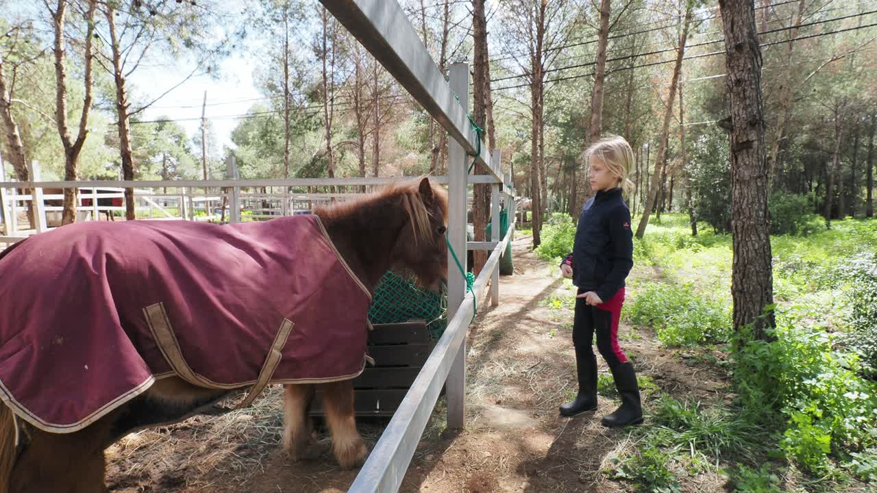 Child interacting with a pony at a farm