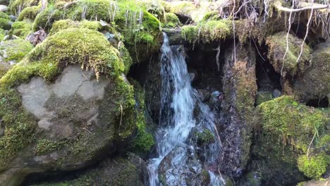 Water-flowing-over-rocks-covered-by-moss-in-the-forest-of-the-Olympic-National-Forest