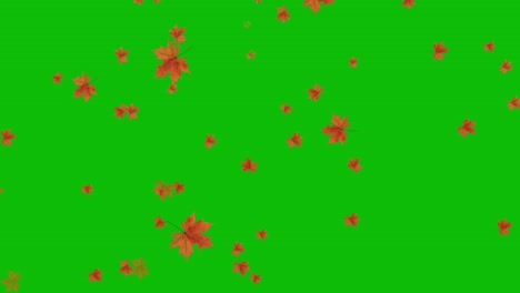 Visual-effects,-VFX,-falling-autumn-leaves-on-green-screen-3D-animation