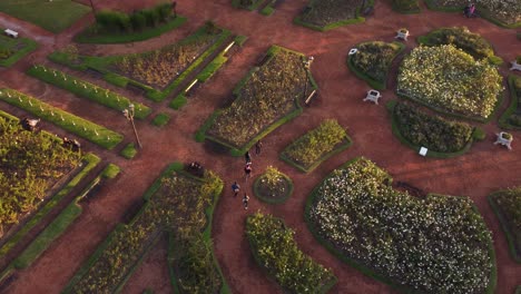 aerial view showing group of friends walking and enjoying in botanical garden during sunset time