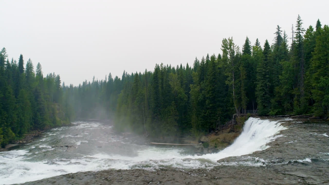 푸른 숲을 가로질러 흐르는 강 4k