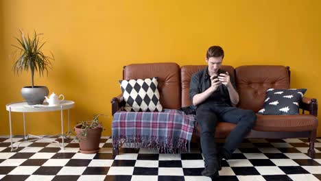 hombre usando el teléfono en un sofá en una sala de estar