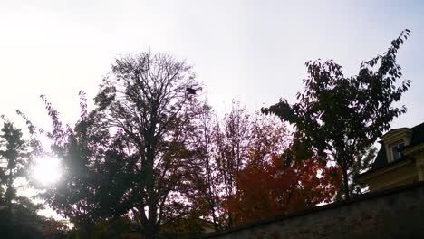 small drone flying in the air, recording beautiful shots of a city