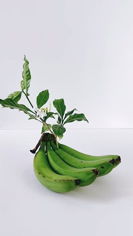 green bananas with jasmine flowers