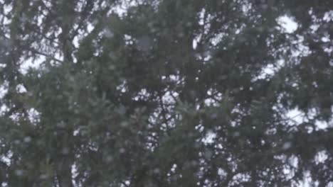 winter weather snow storm in slow motion
