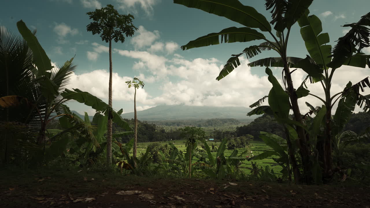 Volcanic Landscape with Rice Terraces and Lush Vegetation