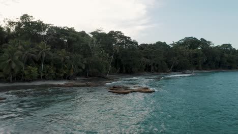 Grüne-Vegetation-An-Der-Küste-Von-Punta-Mona-Ecoversity-In-Costa-Rica