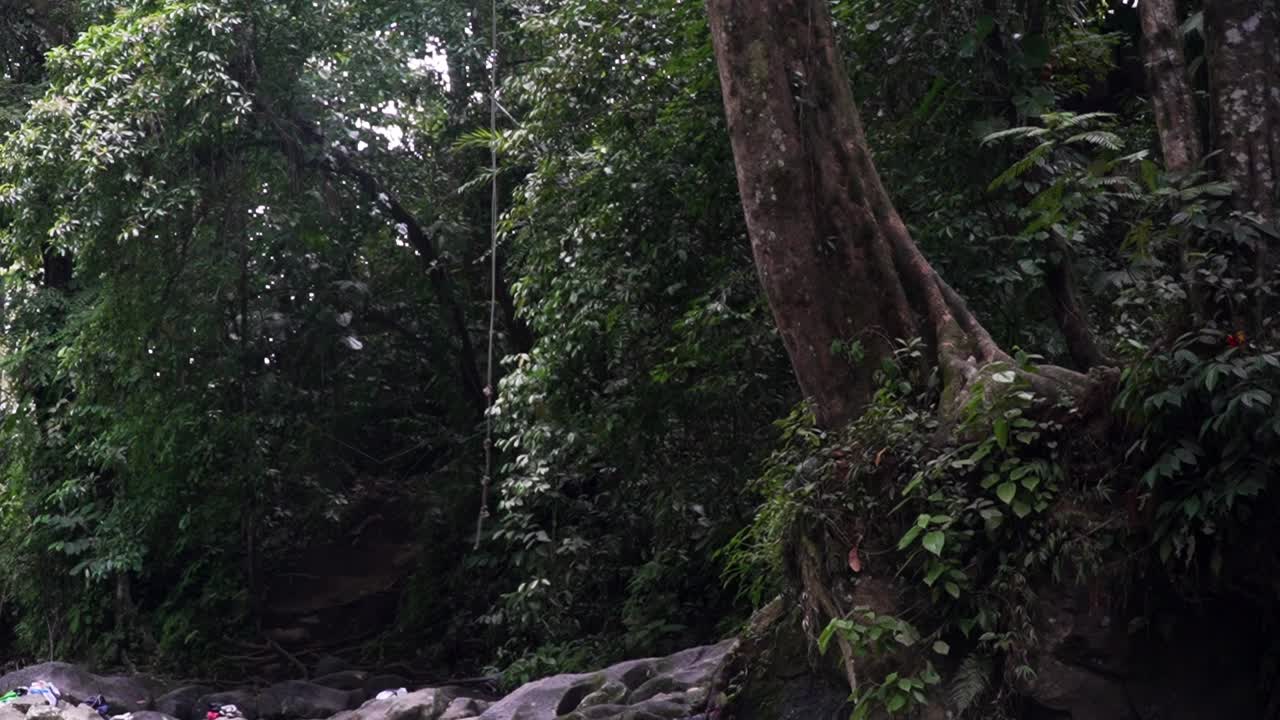 Corda per tuffarsi in acqua che oscilla in un fiume chiamato El Salto in Costa Rica