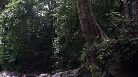 la cuerda para saltar al agua se balancea en un río llamado el salto en costa rica