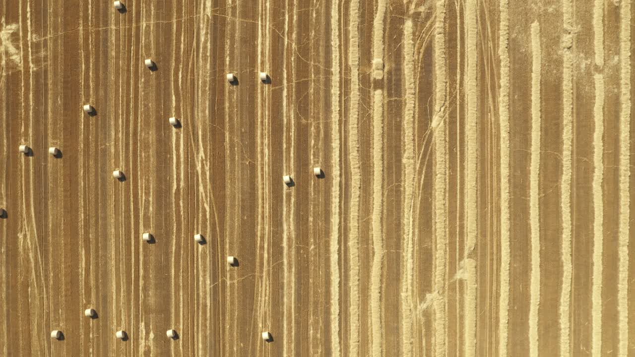 Aerial view of field with lined straw bales on farm fields