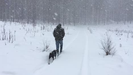 a man with a camouflage jacket walks on a snowy path during a snowstorm