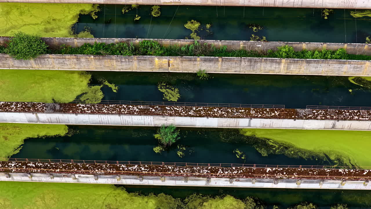 Rows of stagnant concrete basins overgrown with algae and vegetation at an abandoned site