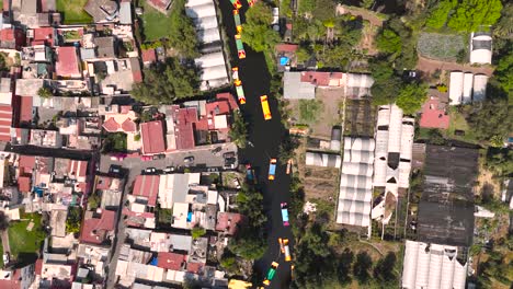 navegando por los serenos canales de xochimilco en medio del bullicio de la ciudad de méxico