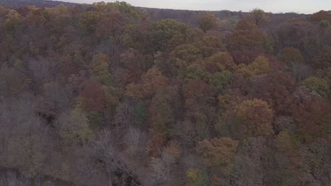 Bäume-In-Der-Nähe-Des-Flusses-In-Pennsylvania