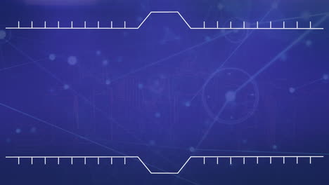 animación de la red de conexiones a través del procesamiento de datos