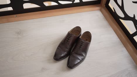 classic brown leather shoes placed neatly on a light wooden floor with modern decor
